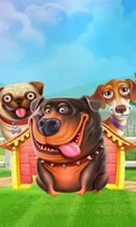 The Dog House